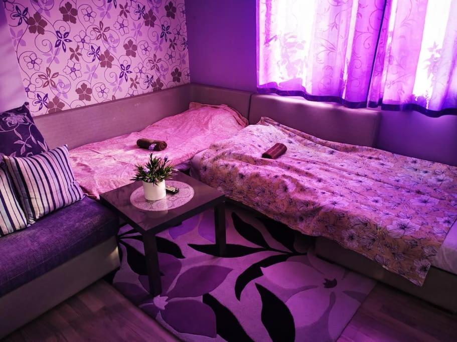 Apartment Lavender, Near To Airport Sofia Eksteriør billede